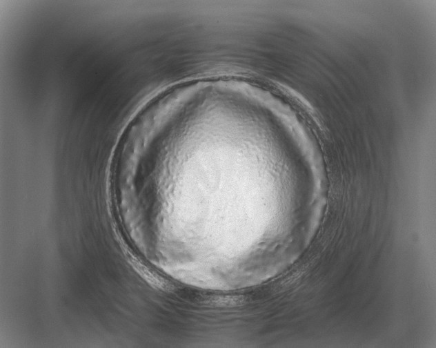 X0000082741423200702161921