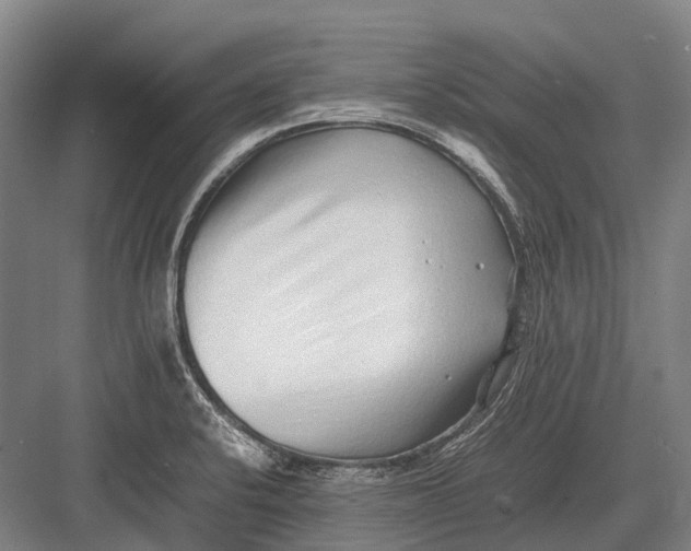 X0000082741424200702161921