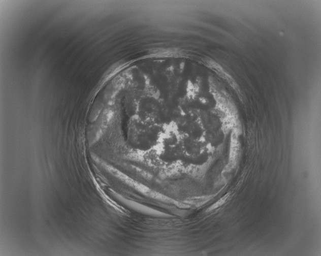 X0000082741425200702161921