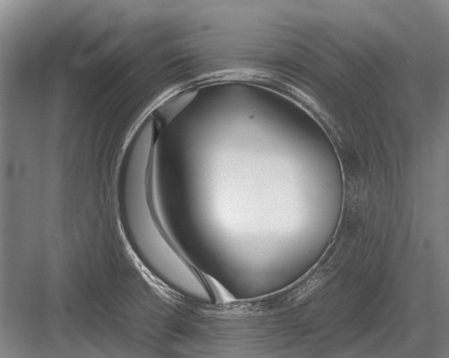 X0000082741426200702161921