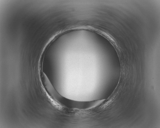 X0000082741430200702161921