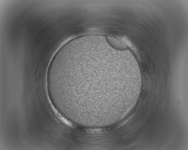 X0000082741431200702161921