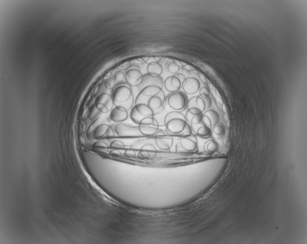 X0000082741432200702161921