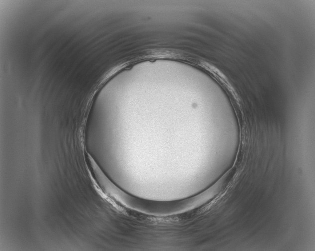 X0000082741433200702161921