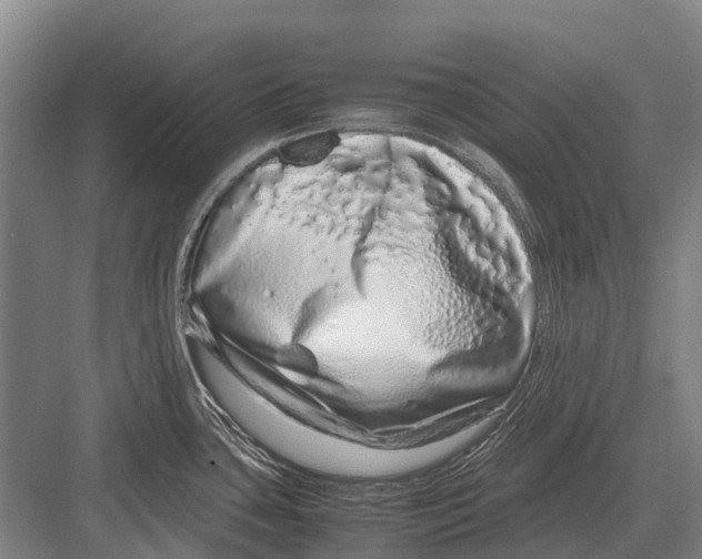 X0000082741435200702161921