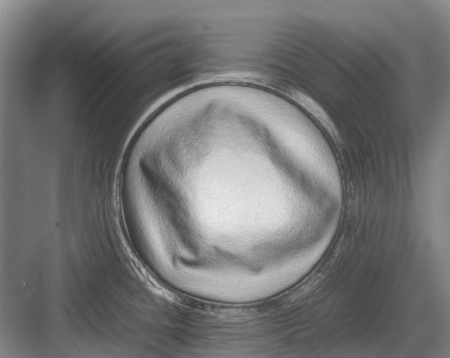 X0000082741436200702161921