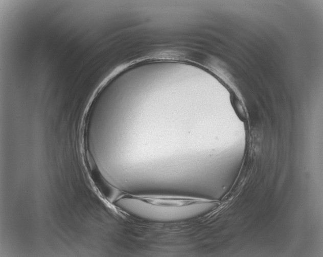 X0000082741437200702161922