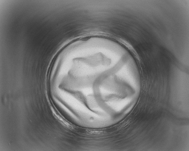 X0000082741439200702161922