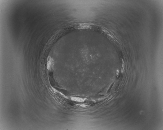 X0000082741441200702161921