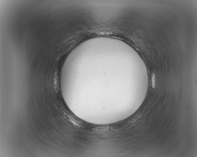 X0000082741444200702161921