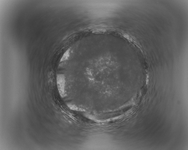 X0000082741445200702161921