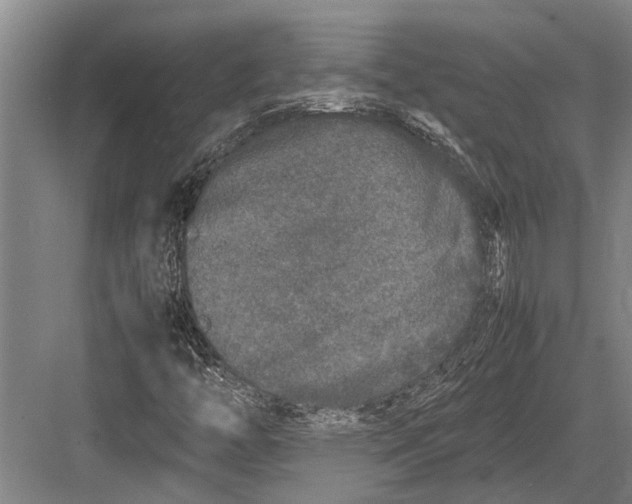 X0000082741446200702161921