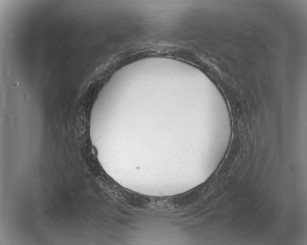 X0000082741447200702161921