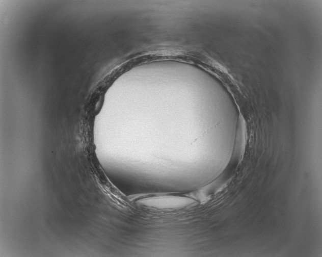 X0000082741448200702161921