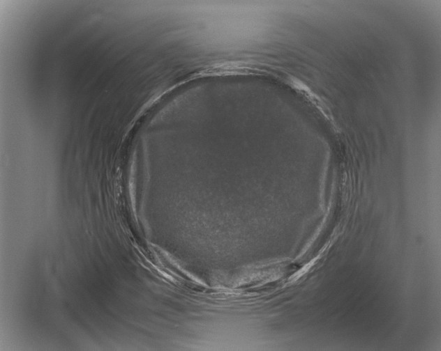 X0000082741449200702161921