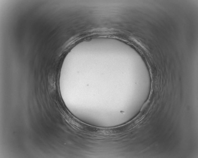 X0000082741451200702161921