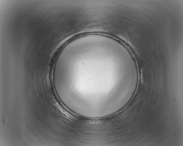 X0000082741452200702161921