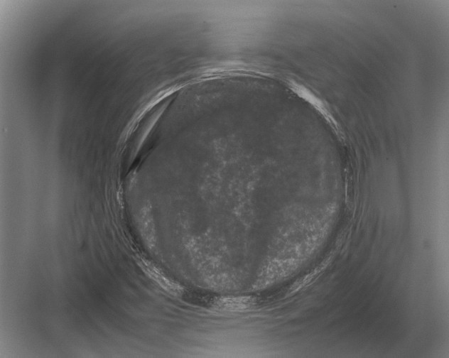 X0000082741453200702161921