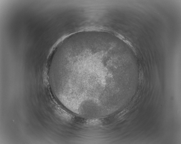 X0000082741454200702161921