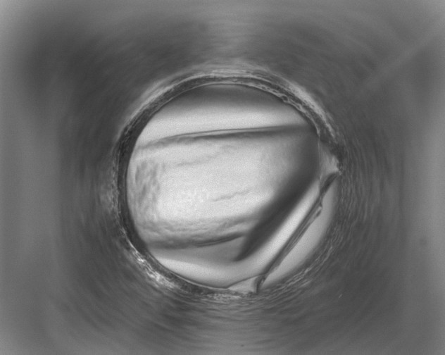 X0000082741456200702161921