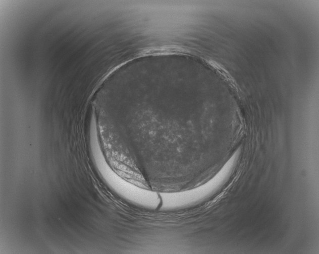 X0000082741457200702161920