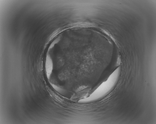 X0000082741459200702161920