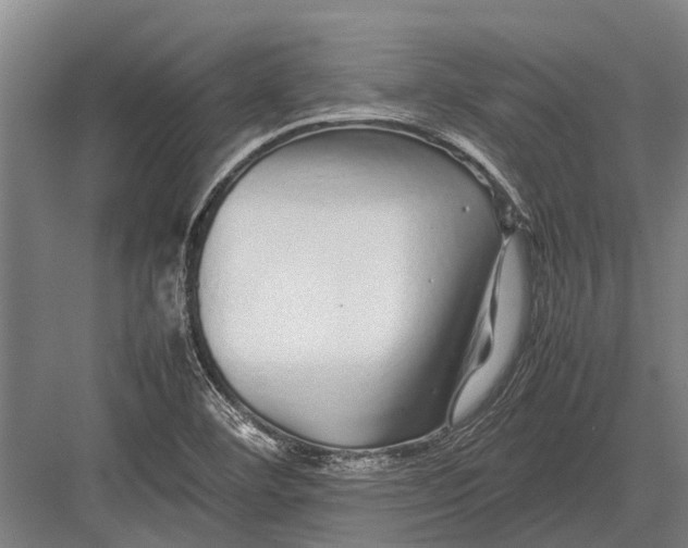 X0000082741460200702161920