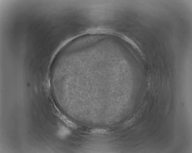 X0000082741462200702161920