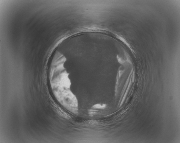 X0000082741463200702161920