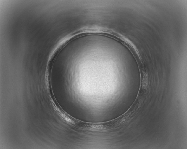 X0000082741464200702161920