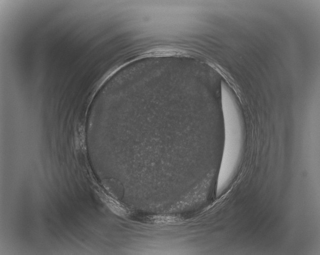 X0000082741465200702161920