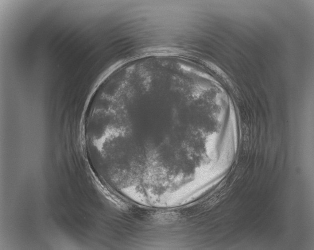 X0000082741466200702161920