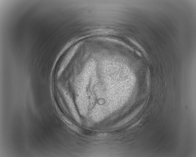 X0000082741467200702161920