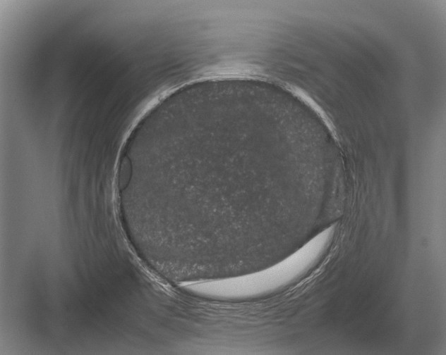 X0000082741469200702161920