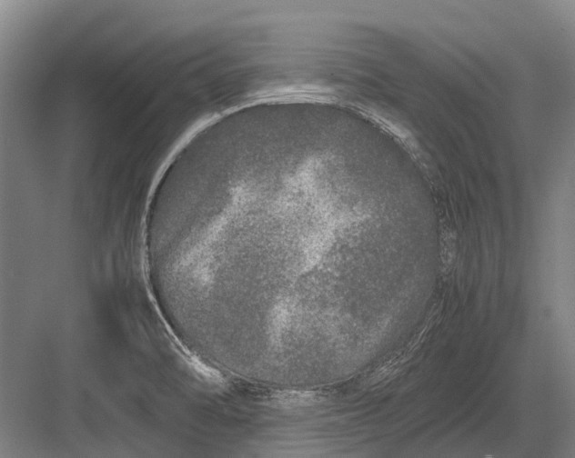 X0000082741470200702161920