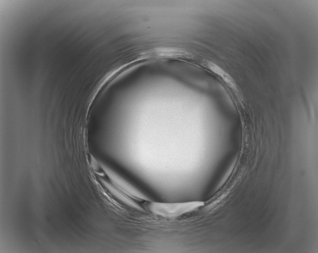 X0000082741473200702161920