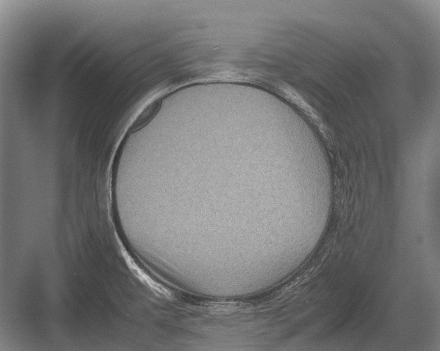 X0000082741479200702161920