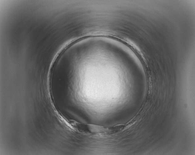 X0000082741480200702161920