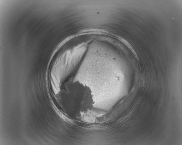 X0000082741482200702161920