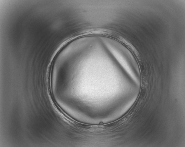 X0000082741483200702161920