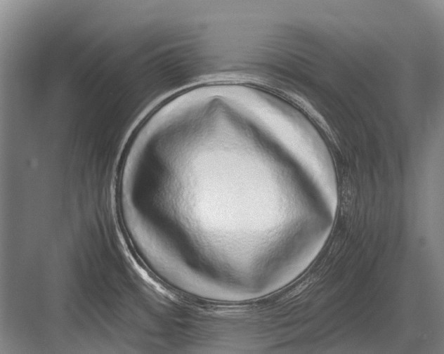 X0000082741484200702161920