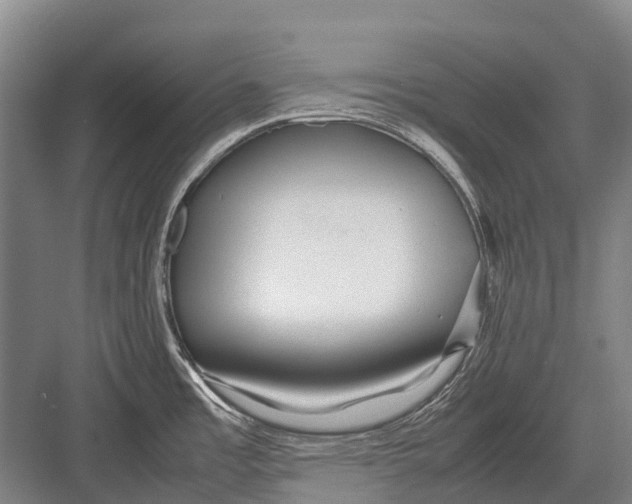 X0000082741485200702161920