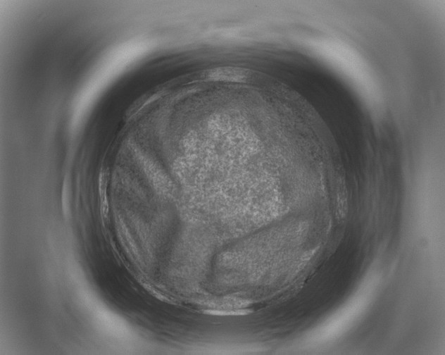 X0000082741487200702161920