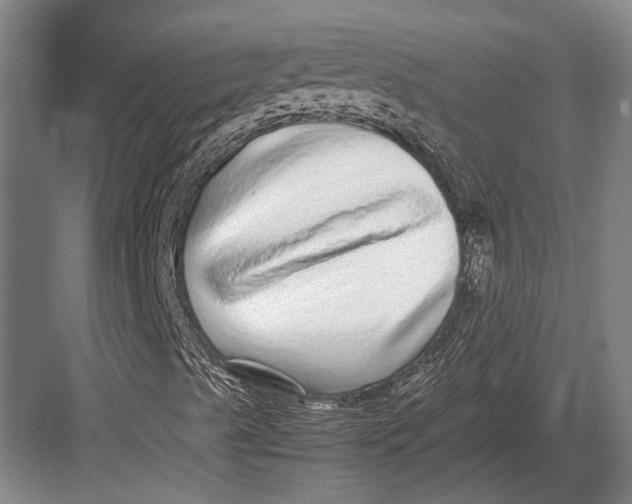 X0000082741489200702161919