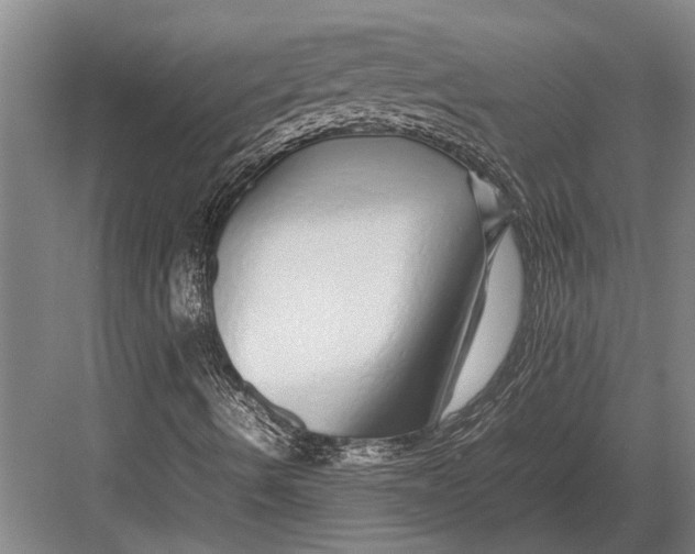 X0000082741490200702161919