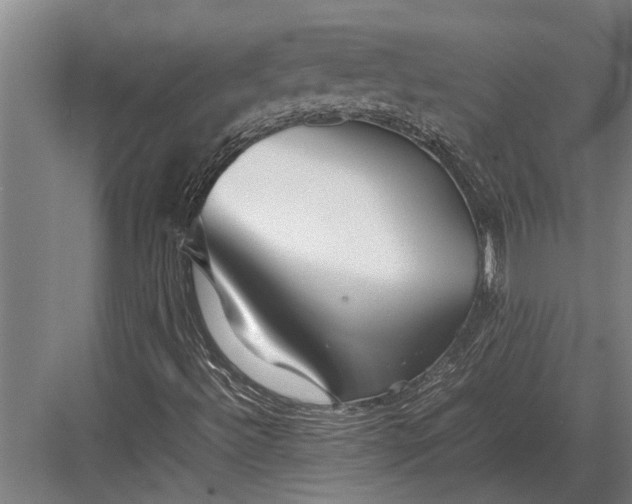 X0000082741492200702161919