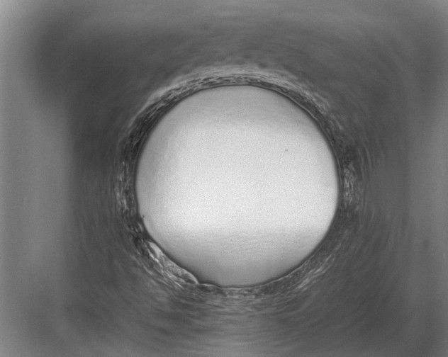 X0000082741494200702161919