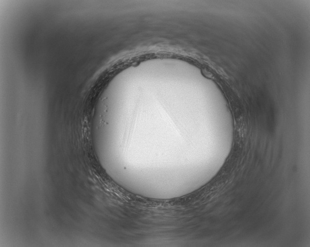 X0000082741495200702161919