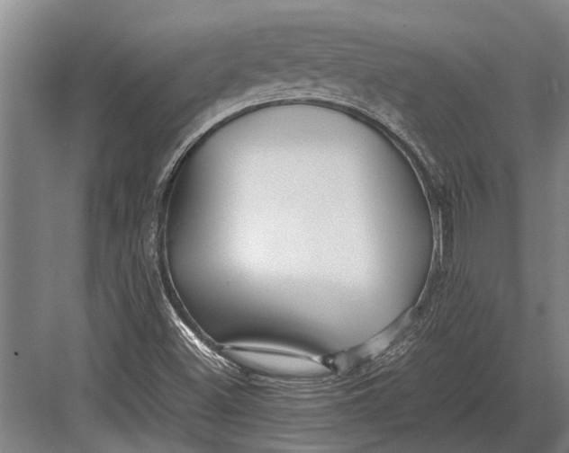 X0000082741500200702161919