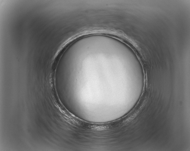 X0000082741501200702161919